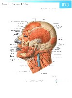 Sobotta Atlas of Human Anatomy  Head,Neck,Upper Limb Volume1 2006, page 80